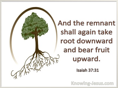 Deep Roots - Secure Grounding
